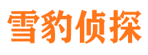 沁源市调查公司